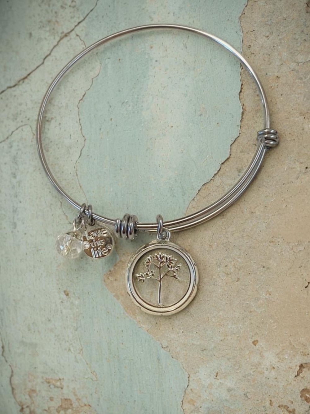 Fashion Jewelry Silver-Tone Tree of Life Charm Bangle with Crystal Accent